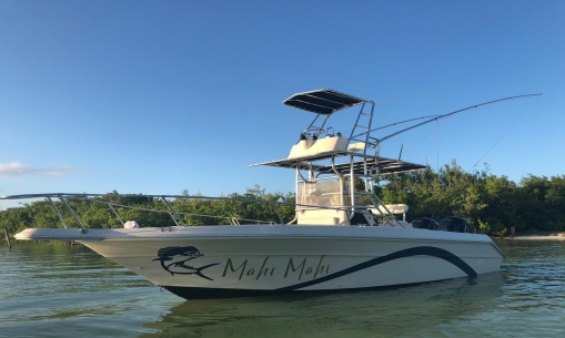 Mahi Mahi 23'